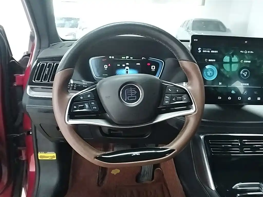 BYD Tang New Energy 2021 DM 2.0T AWD High Performance Premium фото 11