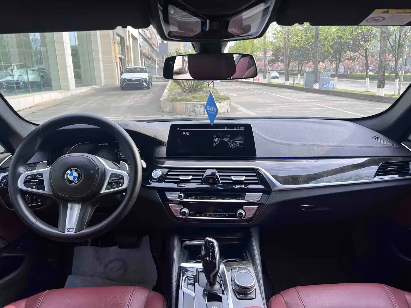 BMW 5 Series 2020 530Li Leading M Sport Package фото 6