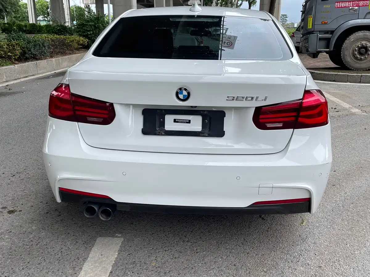 BMW 3 Series 2018 320Li Leading M Sport Package фото 11