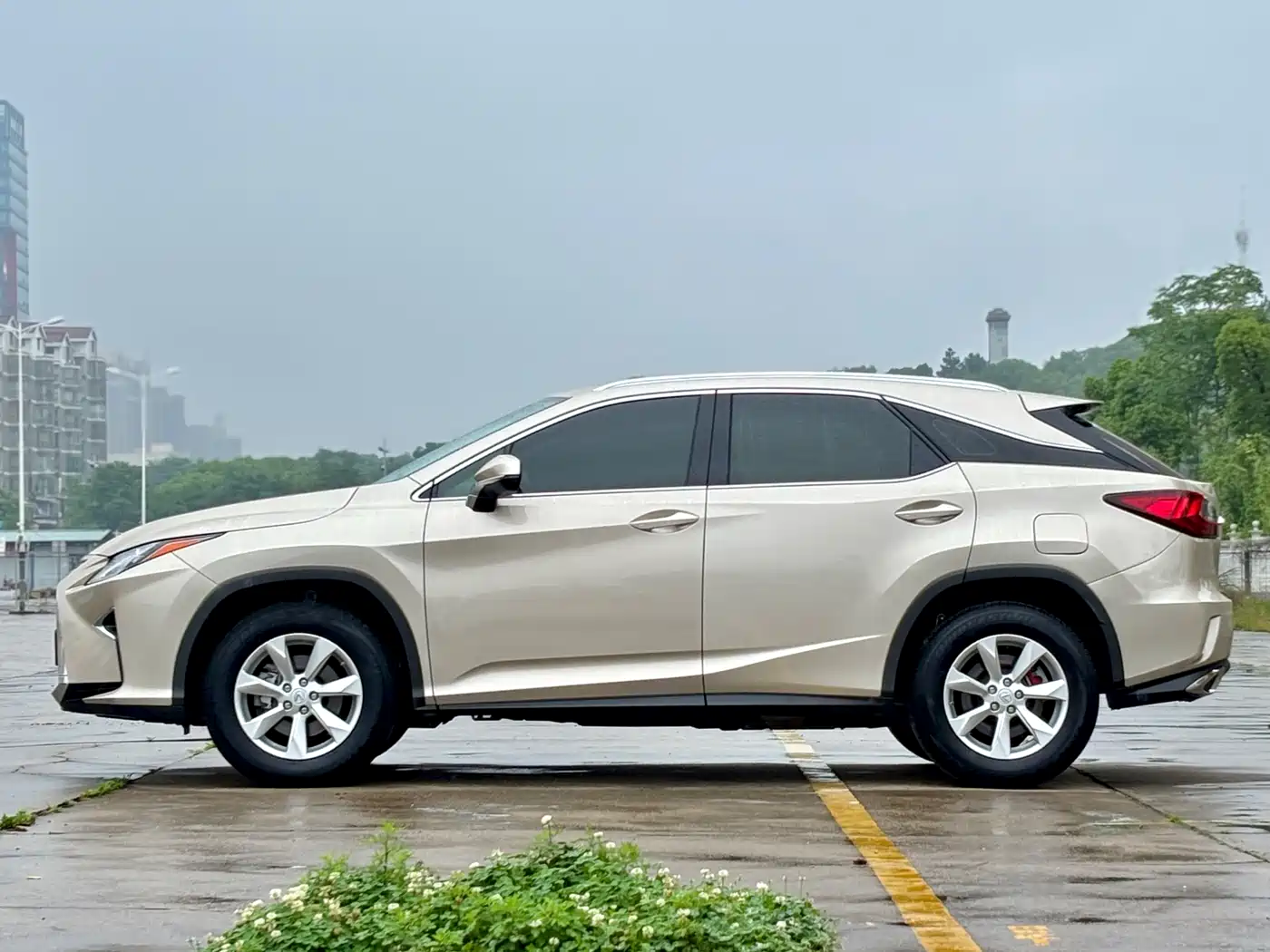LEXUS RX