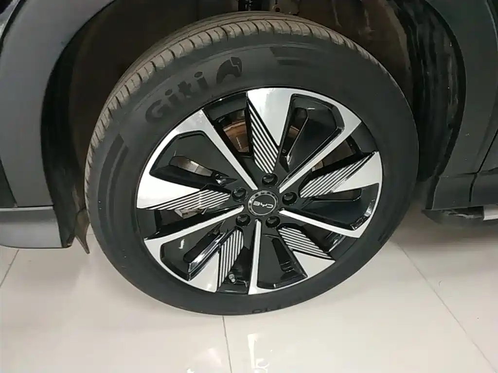 BYD Song PLUS PHEV 2025 DM-i 112KM Honor фото 23