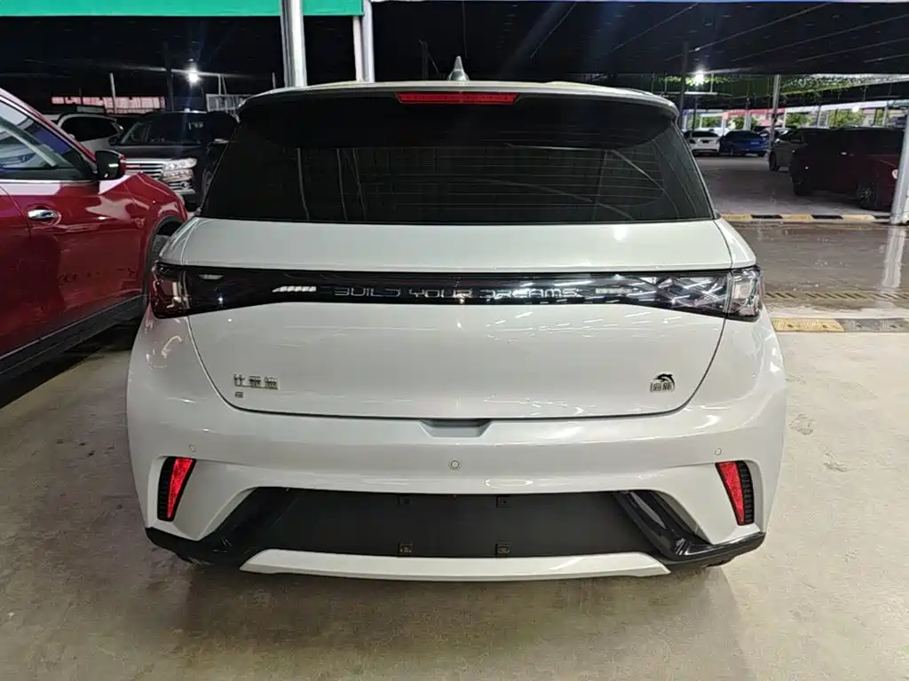 Фото 6 - BYD Dolphin