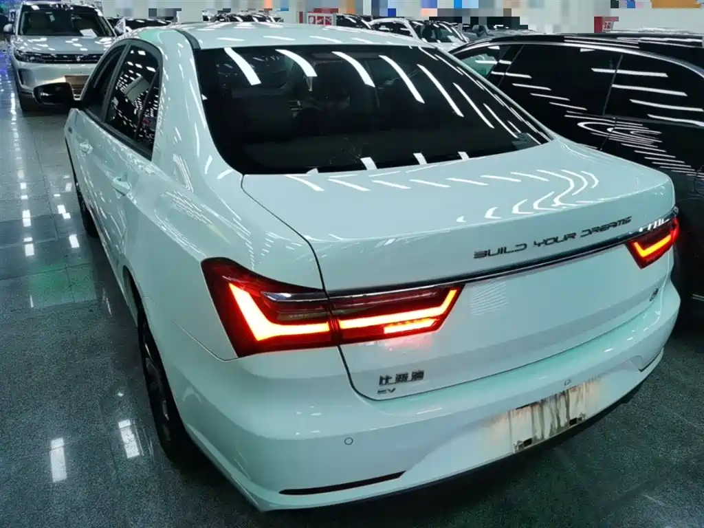 BYD Qin New Energy 2019 Travel Standard Edition фото 5