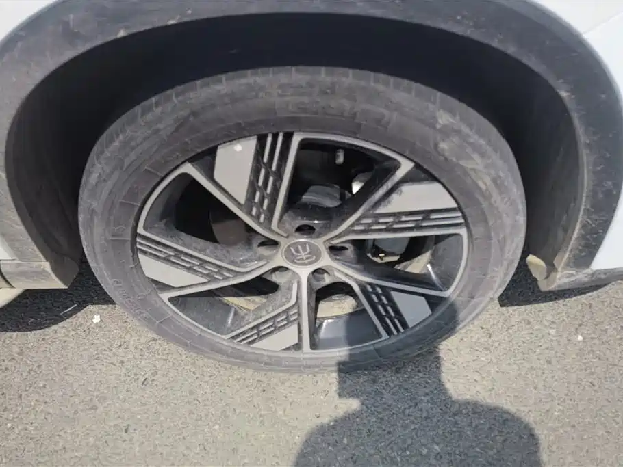 BYD SONGJIANG NEW ENERGY