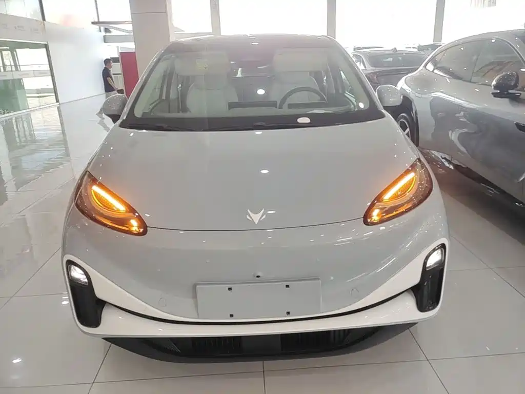 2025 ARCFOX Koala S