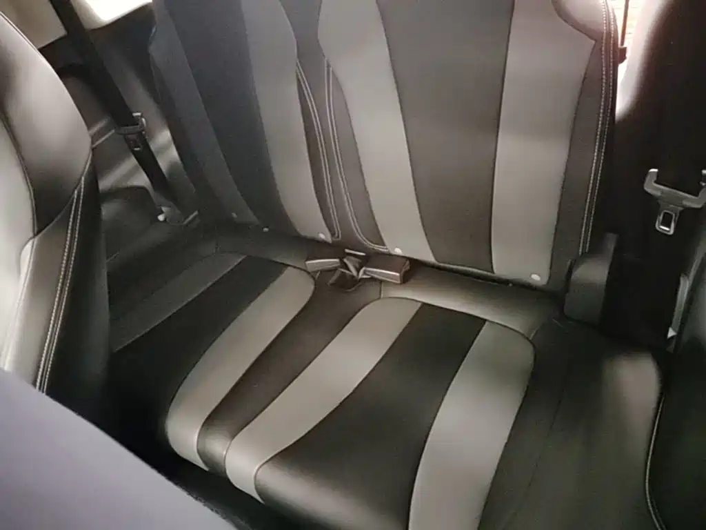 Roewe Clever 2023 2022 311km Vitality Bobo Edition