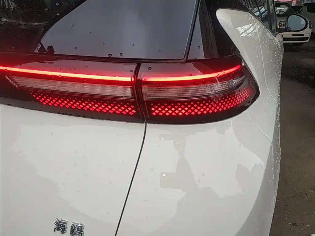 BYD Seagull 2025 Smart Drive Edition 305km Vitality Version фото 8