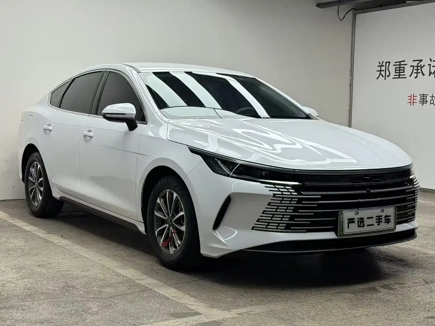 BYD Destroyer 05 2024 Glory Edition DM-i 55KM Luxury фото 3
