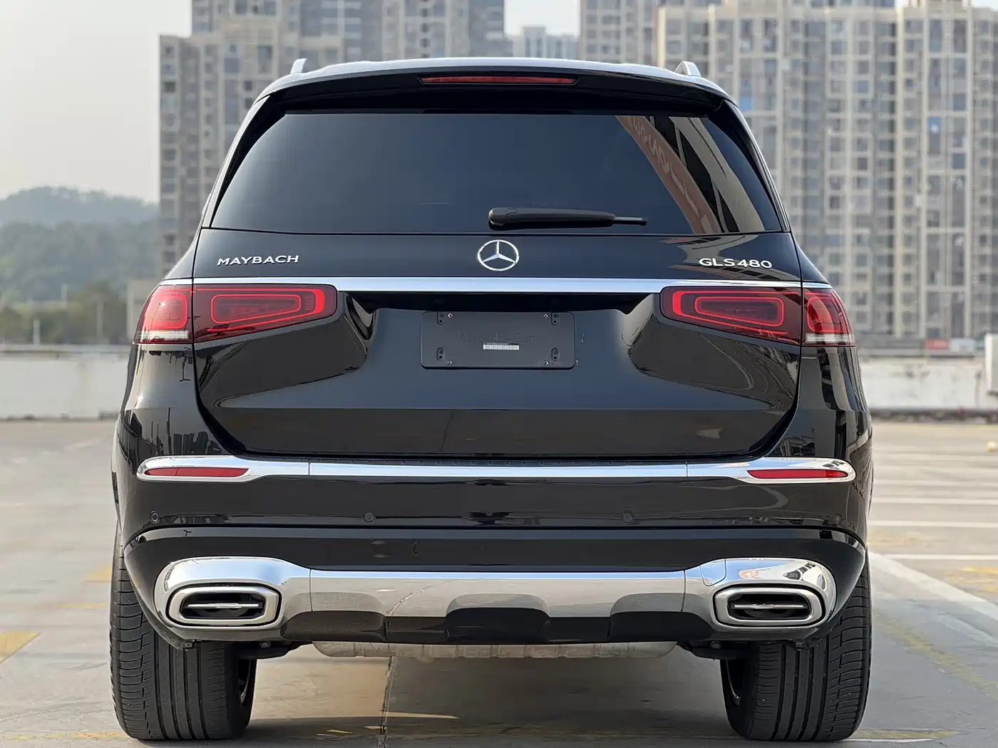 Mercedes-Benz Maybach GLS 2022 GLS 480 4MATIC фото 12