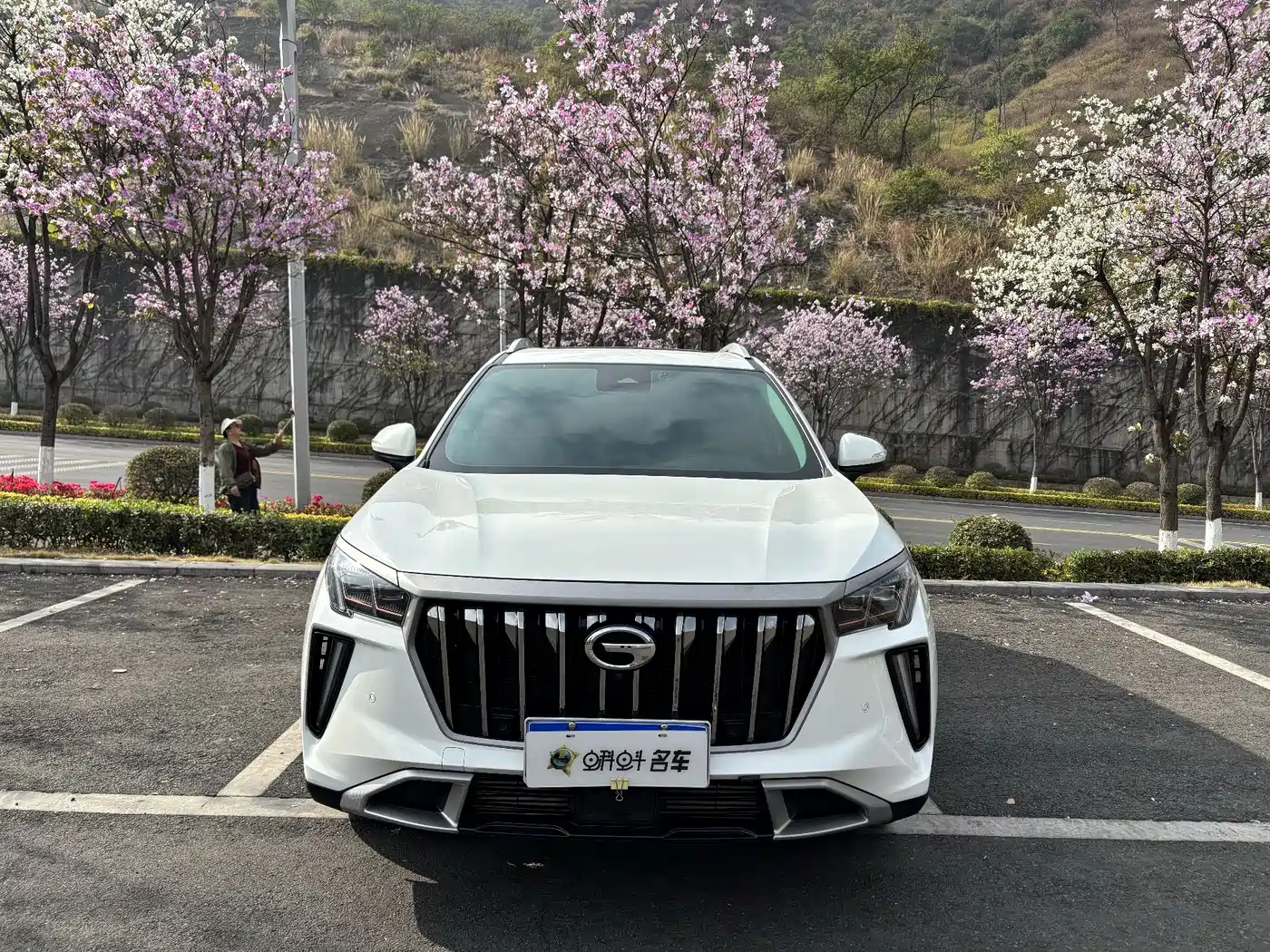 GAC Trumpchi Trumpchi GS4 PLUS 2023 390T Auto Nebula Edition фото 2