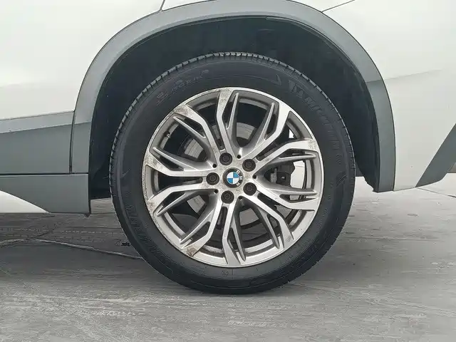 BMW X2 (Import) 2019 2019 sDrive25i Leading M Off-Road Package China VI