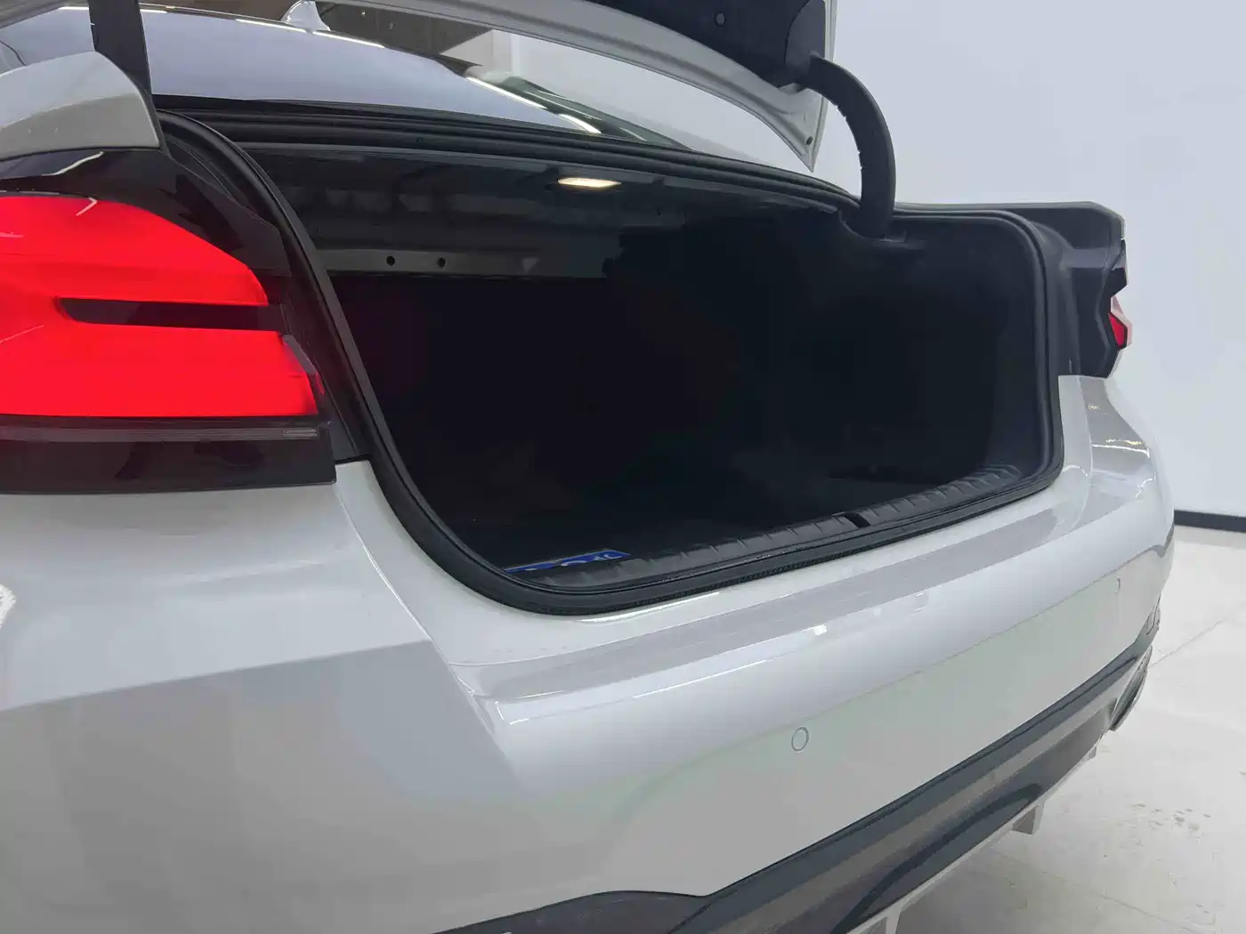 BMW 5 Series 2022 530Li Leading M Sport Package фото 11
