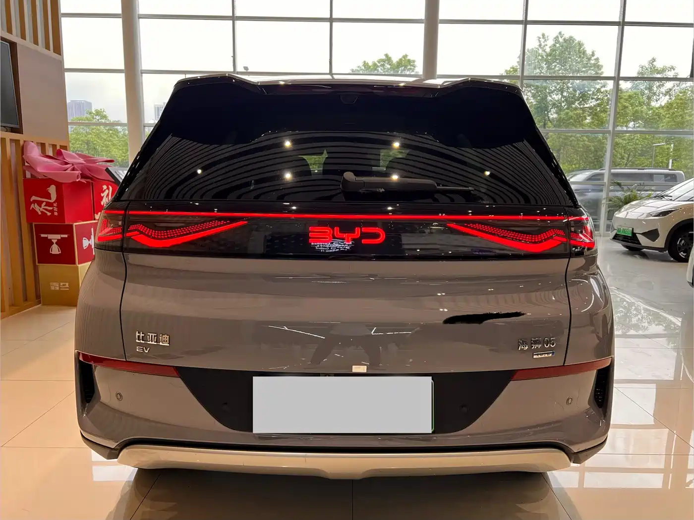 BYD Hai Shi 05 EV 2025 520KM Flagship Smart Navigation Edition фото 8