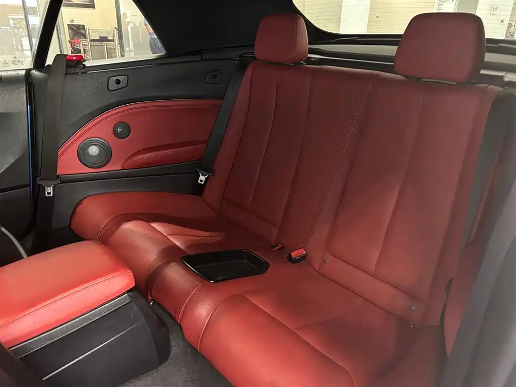 BMW 2 Series (Import) 2019 225i Convertible Coupe Exclusive M Sport Package фото 5