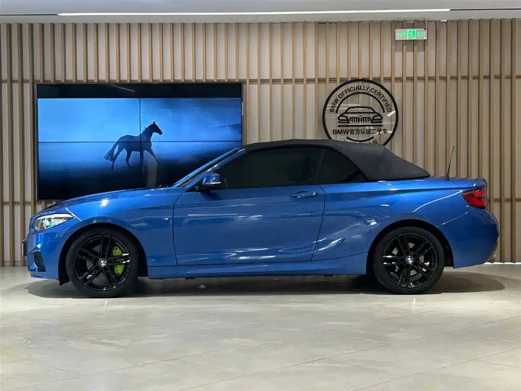BMW 2 Series (Import) 2019 225i Convertible Coupe Exclusive M Sport Package фото 13