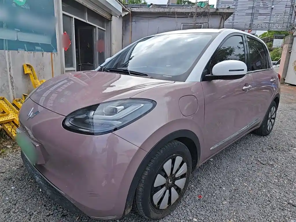 Wuling Motors Wuling Bingo 2023 Model 333km Joy+ Version