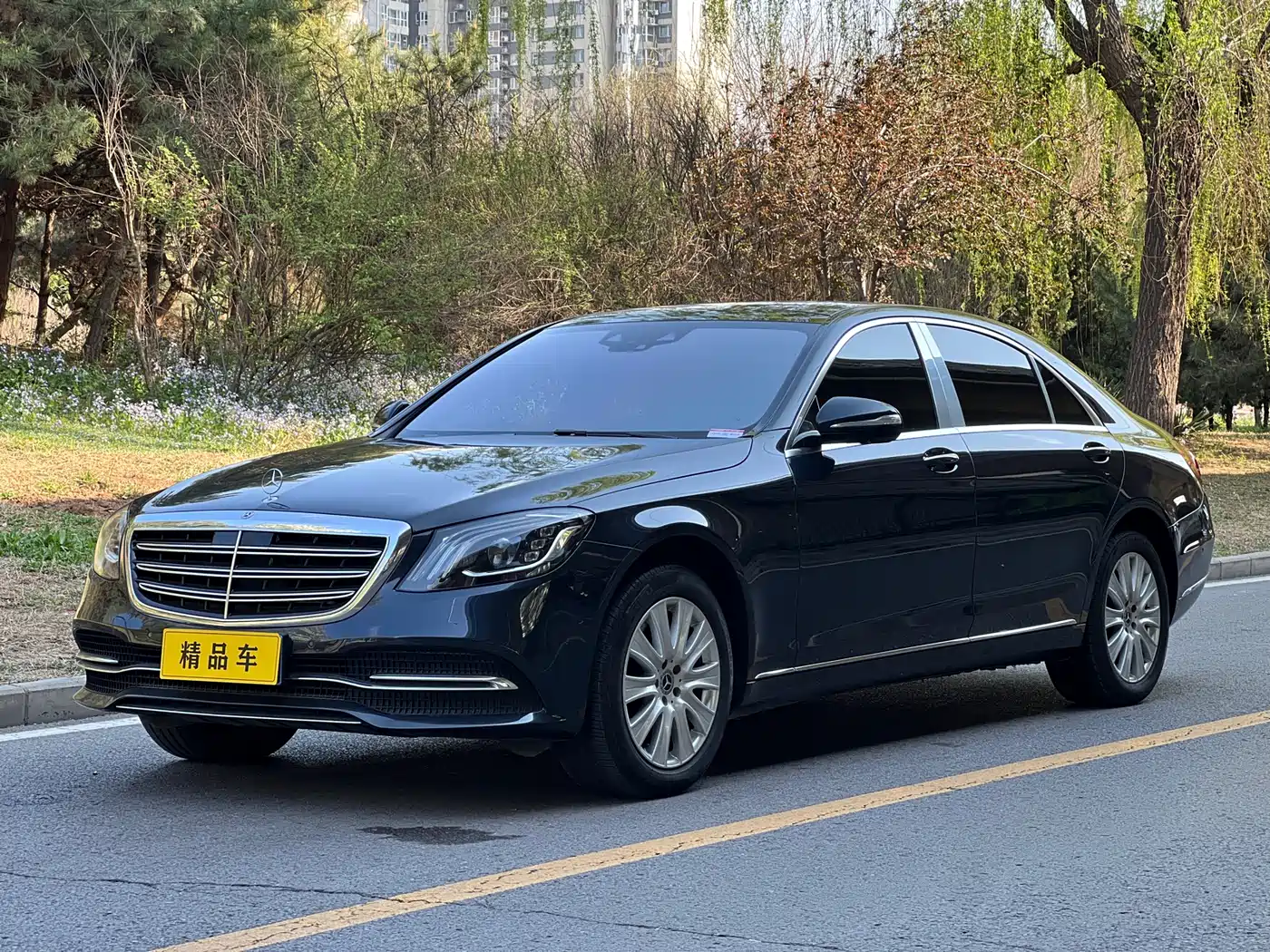 Mercedes-Benz S-Class 2018 S 350 L
