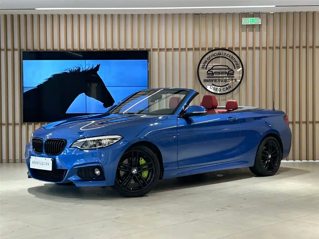 BMW 2 Series (Import) 2019 225i Convertible Coupe Exclusive M Sport Package фото 15