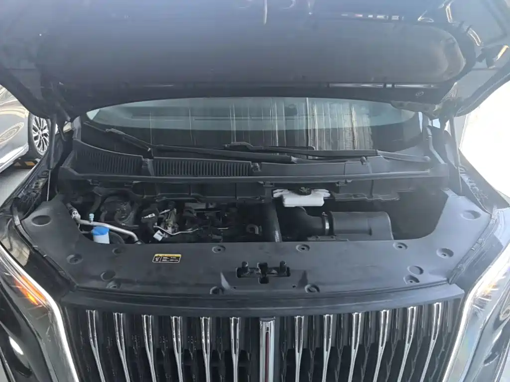 Hongqi HQ9 2023 2023 2.0T Smart Connect Flag Enjoy Edition