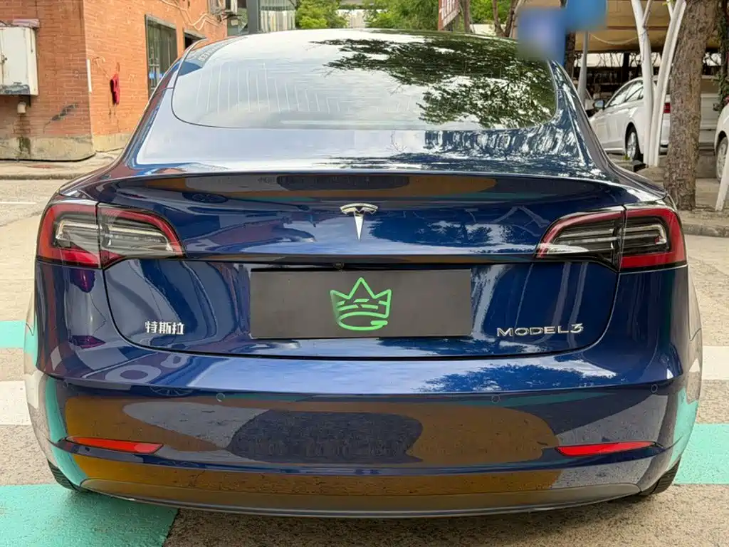 Tesla Model 3 (Import) 2019 2019 Long Range RWD Version