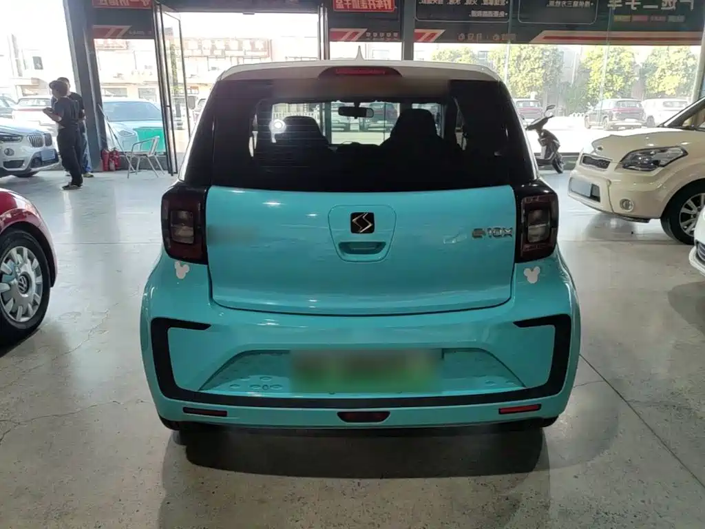 Sehol Flower Fairy 2021 2021 Jimei Edition 302km Luxury