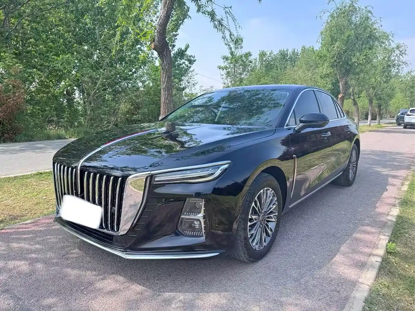 Hongqi H5 2025 1.5T DCT Flag Rhythm 500,000 Units Memorial Edition