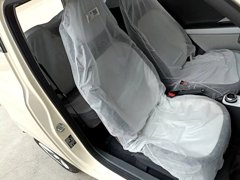 Geely Galaxy Panda 2026 2025 Panda mini 210km Vitality Bear