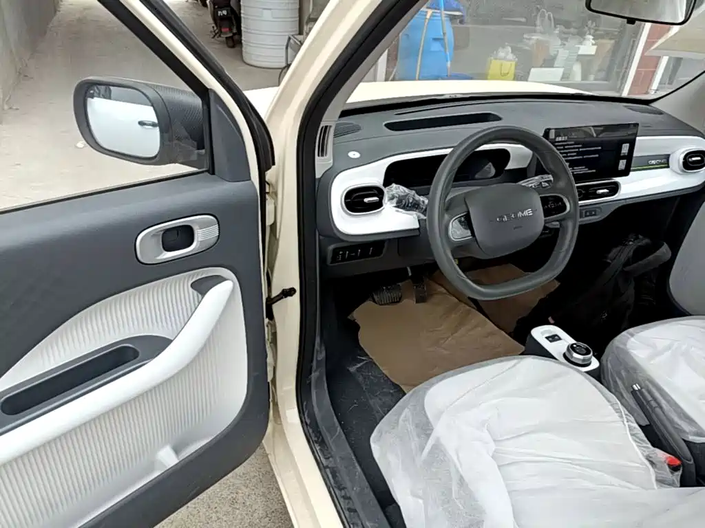 Geely Galaxy Panda 2026 2025 Panda mini 210km Vitality Bear
