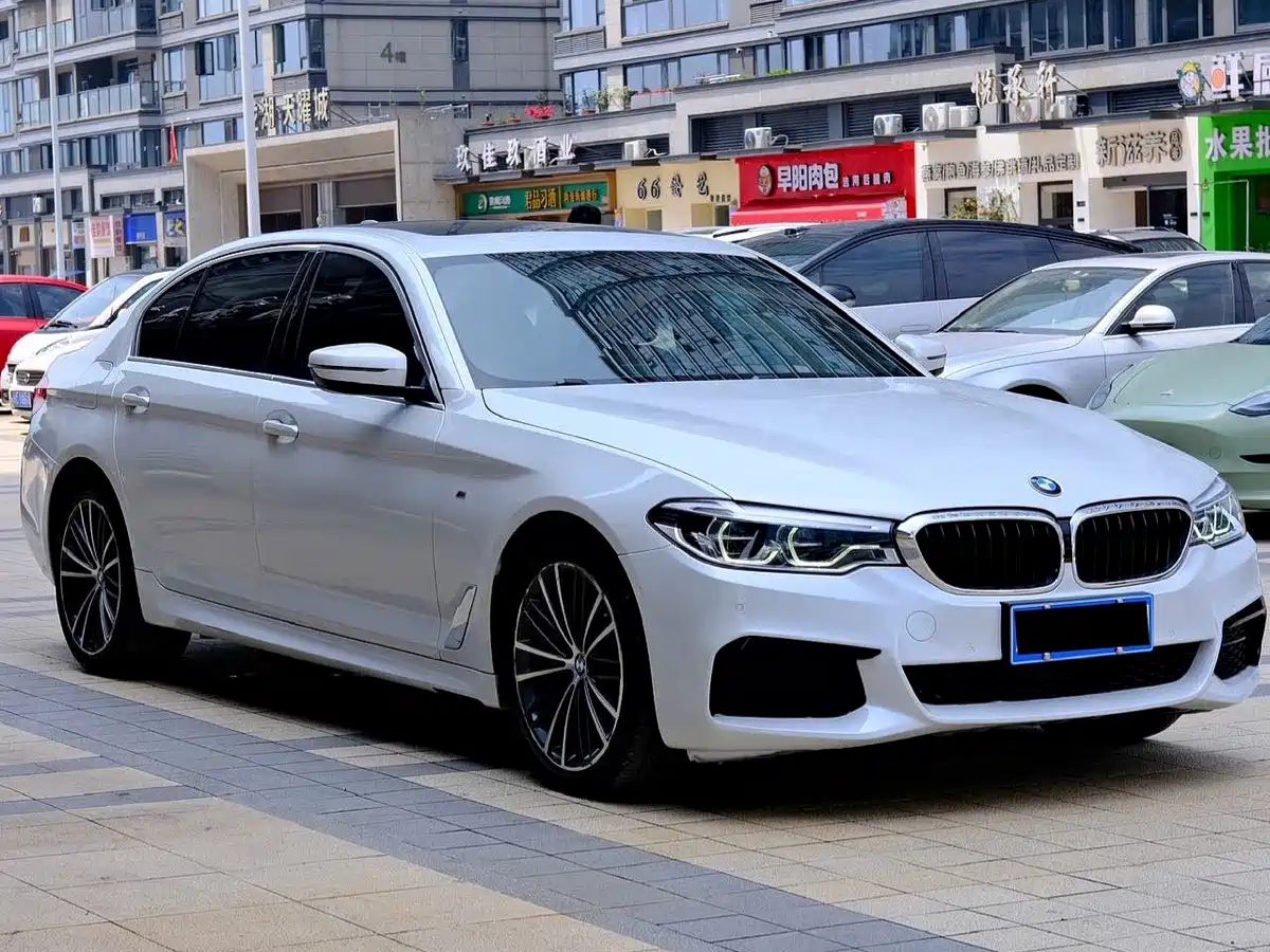BMW 5 Series 2020 530Li Leading M Sport Package фото 3