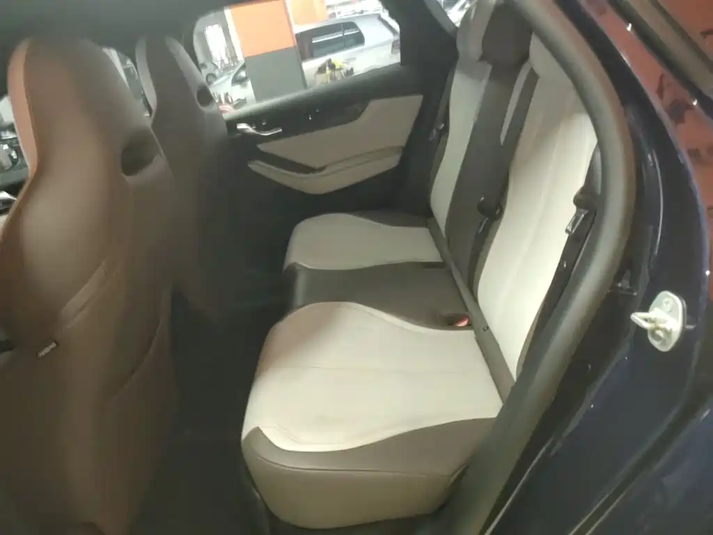 BYD Qin PLUS 2024 Glory Edition DM-i 55KM Leading фото 17