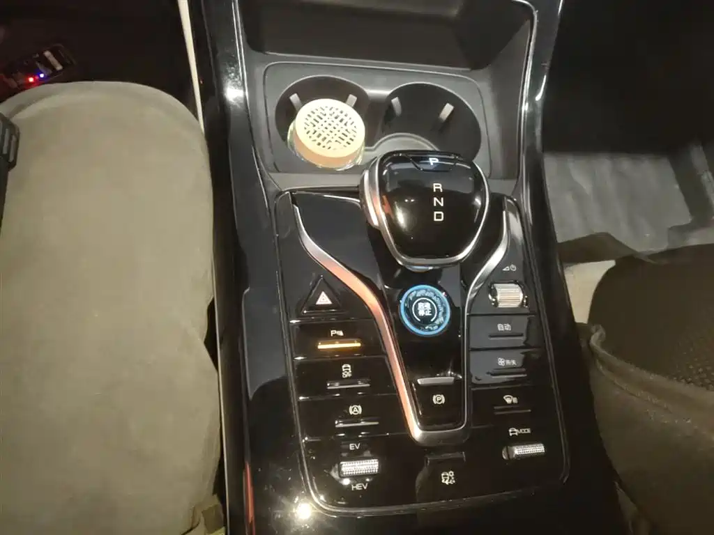 BYD Qin PLUS 2024 Glory Edition DM-i 55KM Leading фото 14