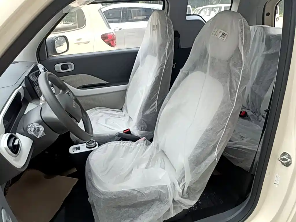 Geely Galaxy Panda 2026 2025 Panda mini 210km Vitality Bear