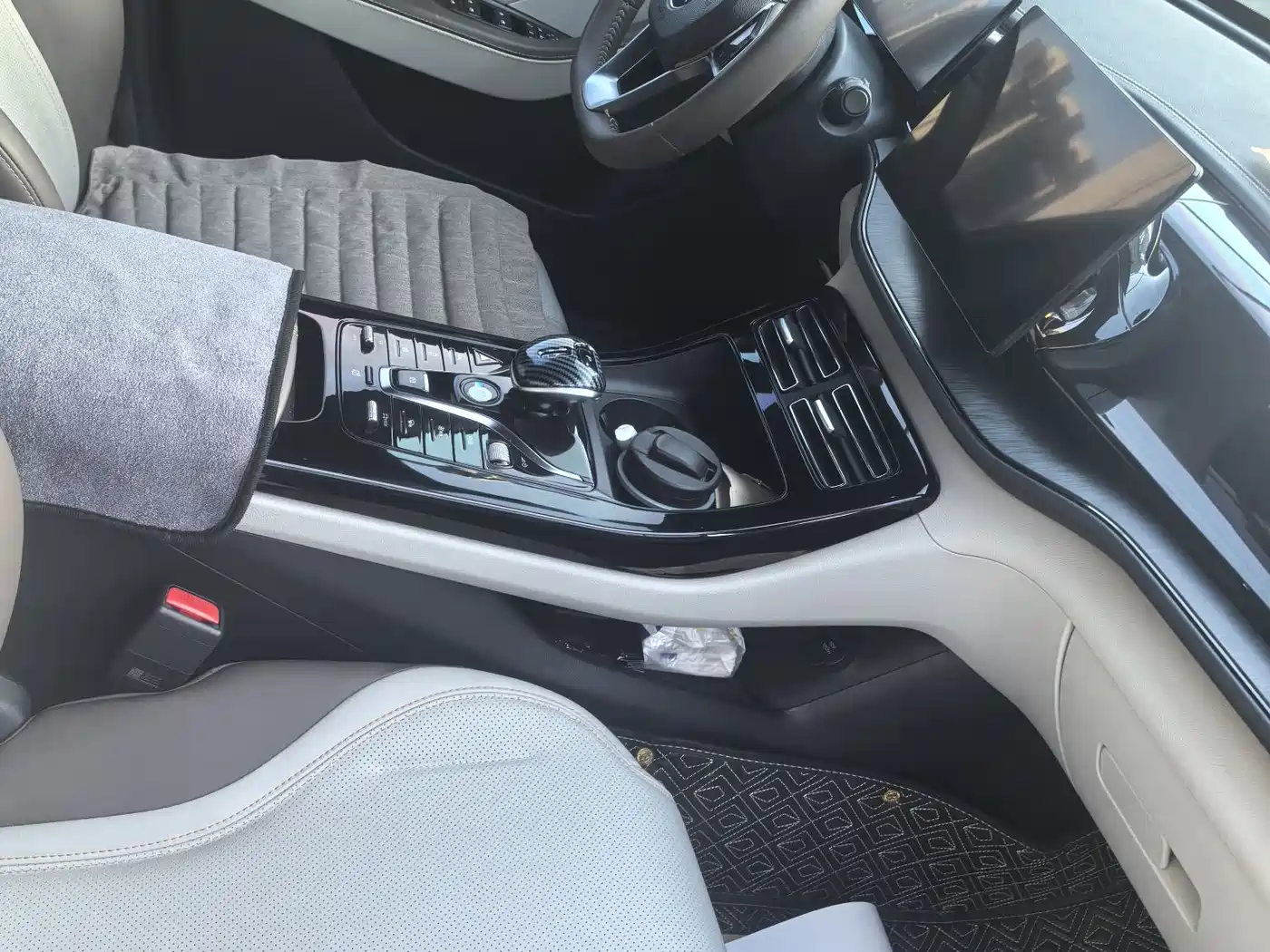 BYD Qin PLUS 2023 Champion Edition DM-i 55KM Leading фото 10