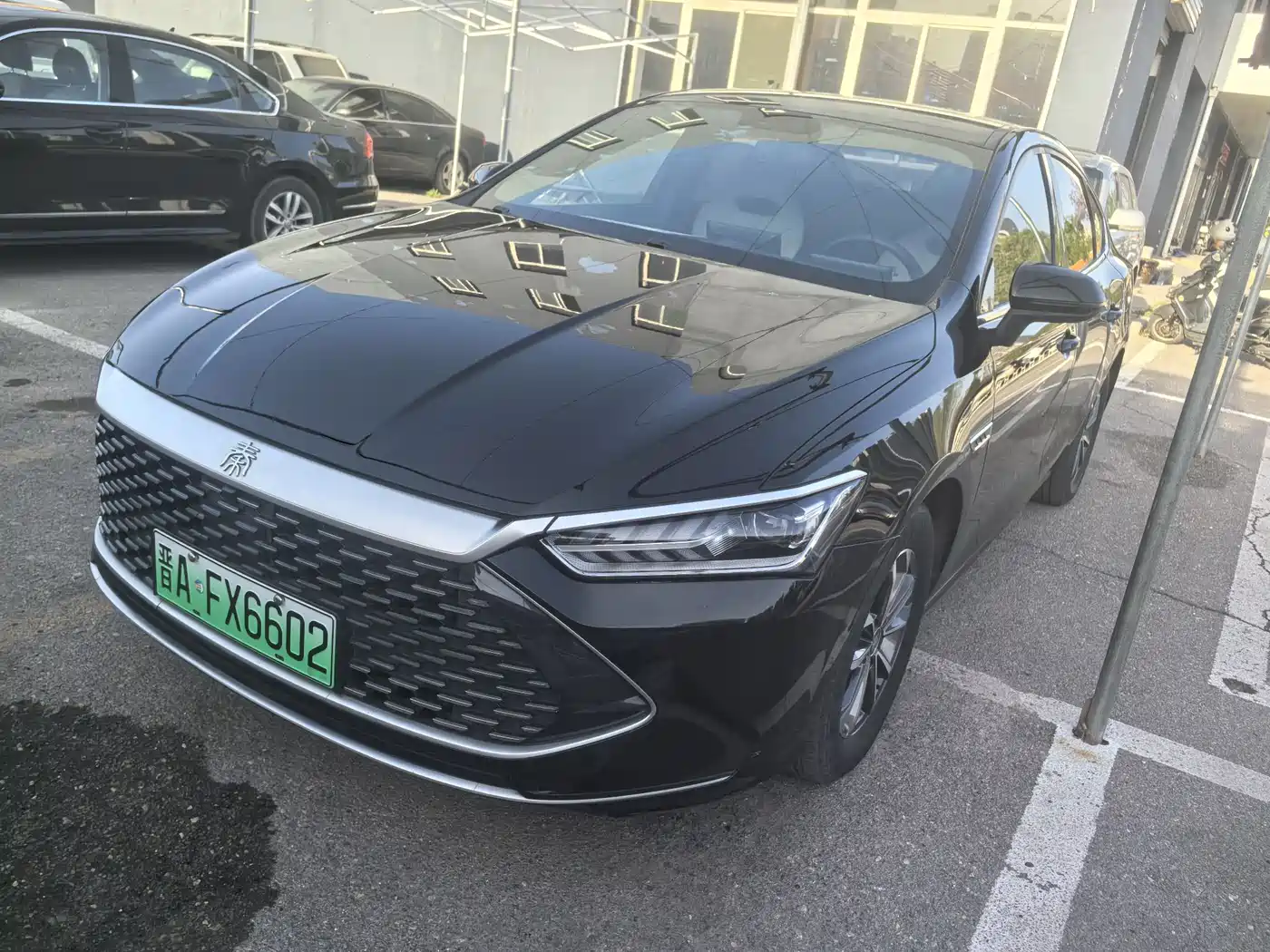 BYD Qin PLUS 2023 Champion Edition DM-i 55KM Leading фото 2