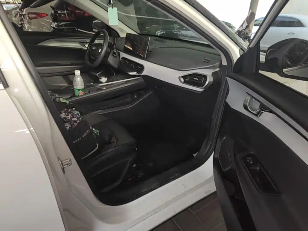 Geely Geometry A 2022 2021 Pro Long-Range Edition 430KM A430 Square