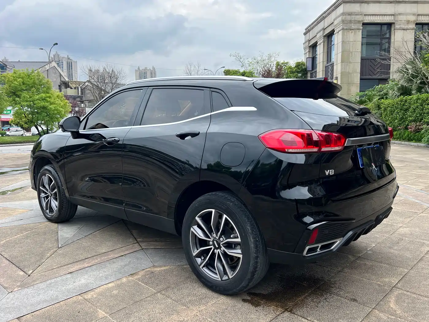 WEI PAI WEI BRAND VV5