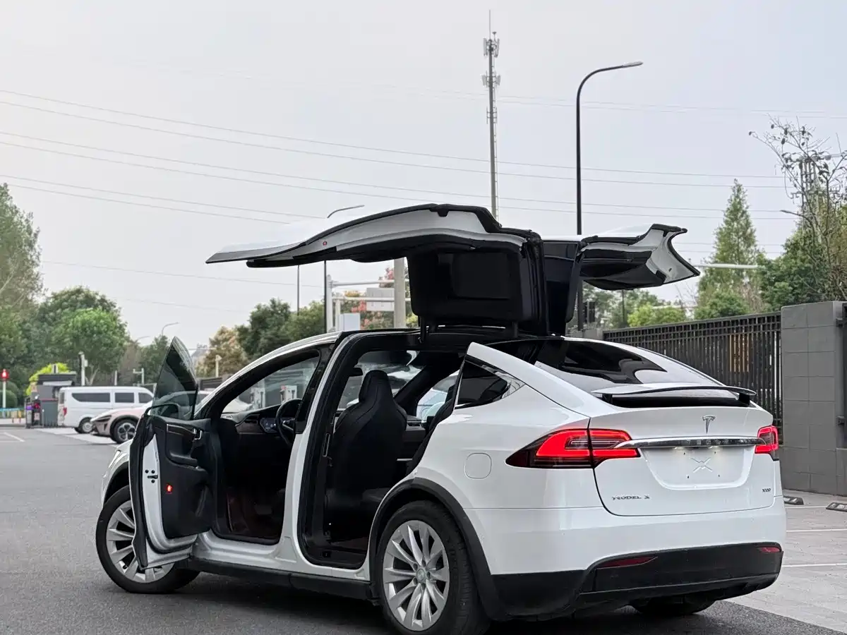 Фото 5 - Tesla Model X