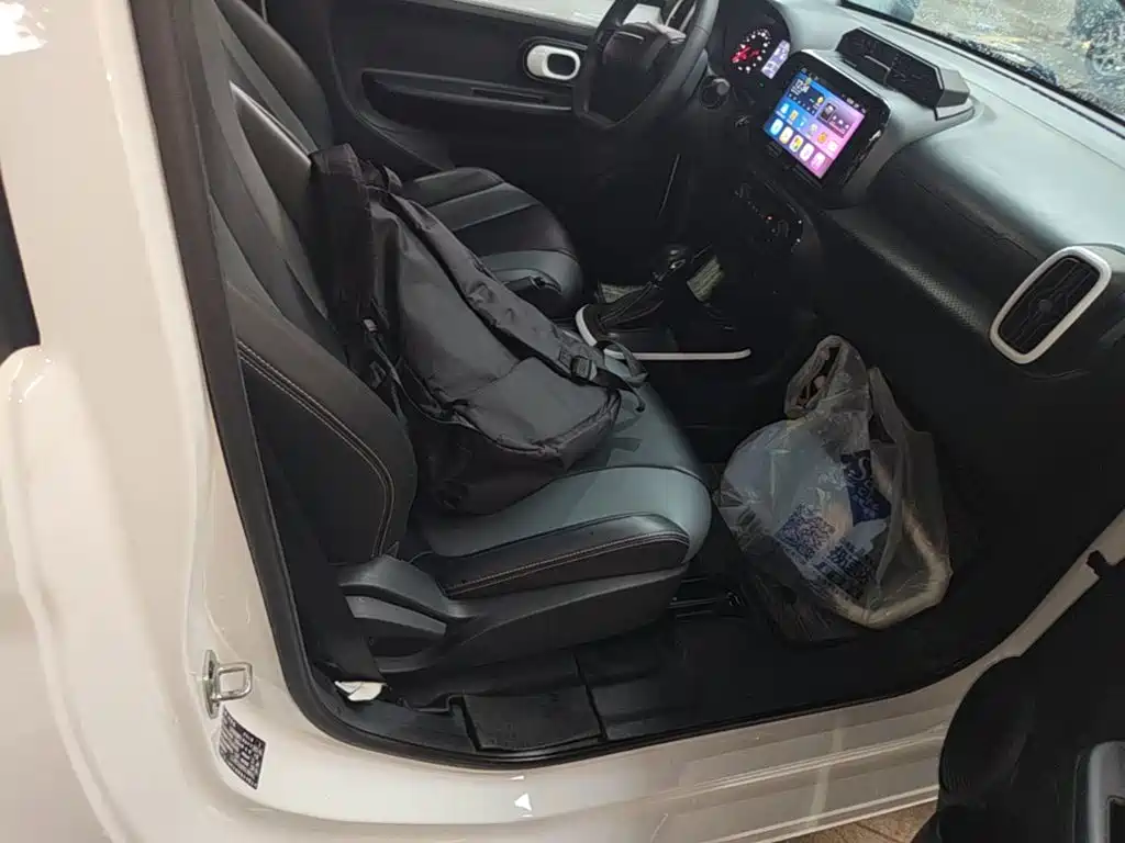 Roewe Clever 2023 2022 311km Vitality Bobo Edition