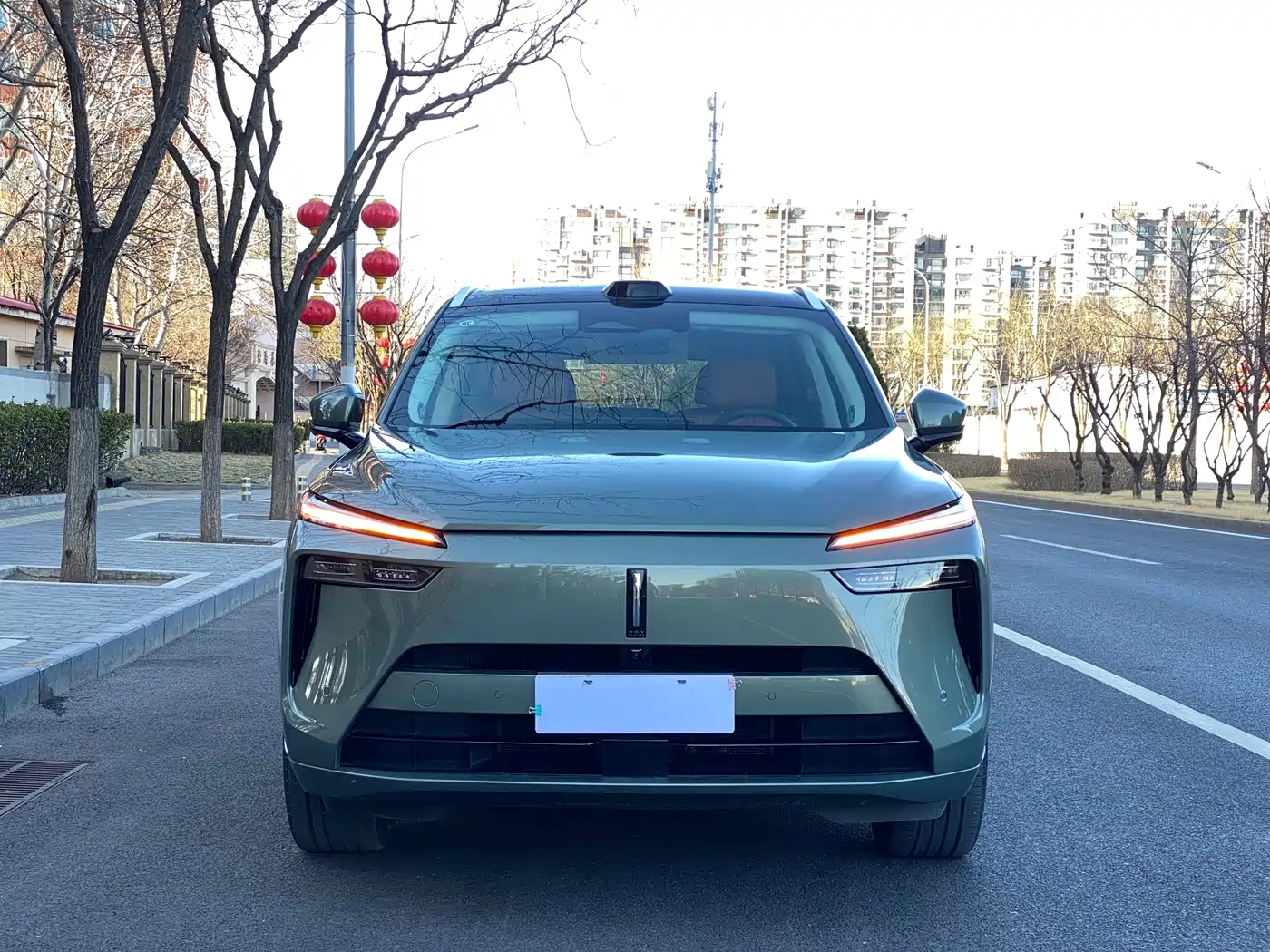 WEI PAI WEI BRAND BLUE MOUNTAIN