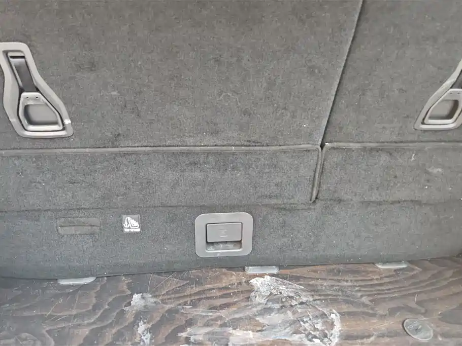 SAIC MAXUS CHASE G90