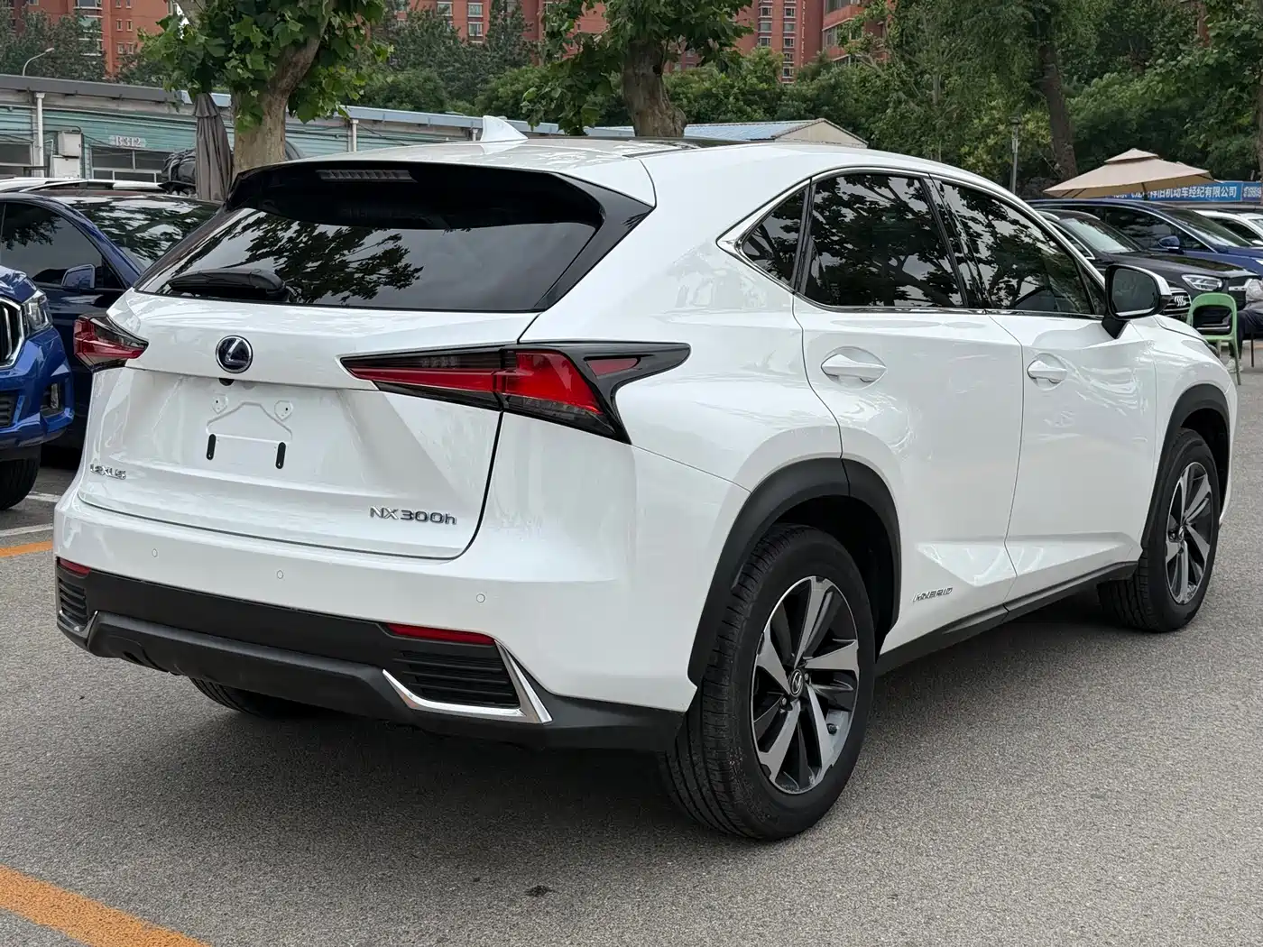Lexus NX 2018 Model 300h AWD Fengzhi Edition China V фото 16
