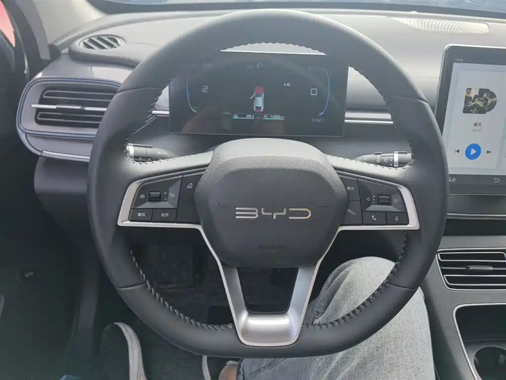 BYD Destroyer 05 2023 Champion Edition DM-i 55KM Luxury фото 11