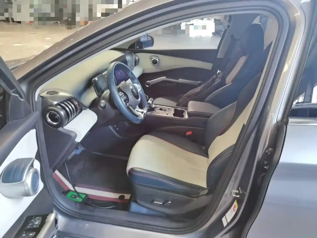 BYD Yuan PLUS 2022 2022 430KM Luxury Model