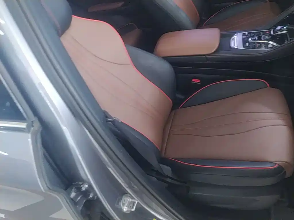 BYD Song PLUS 2021 2020 1.5T Automatic Luxury