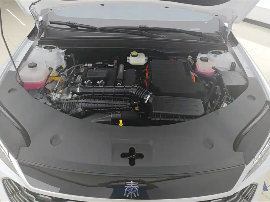 BYD Qin PLUS 2025 DM-i Smart Drive 55KM Leader фото 10