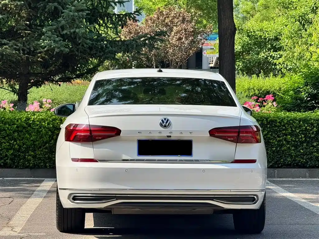 Volkswagen Passat 2019 Model 330TSI Luxury Edition China V фото 7