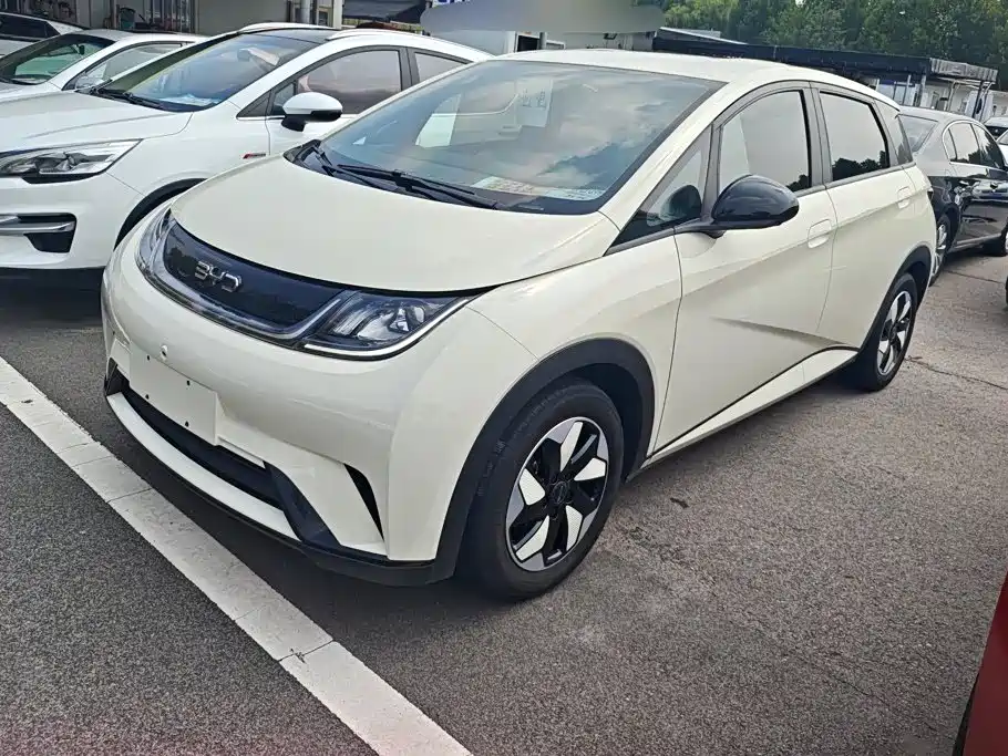 BYD Dolphin 2024