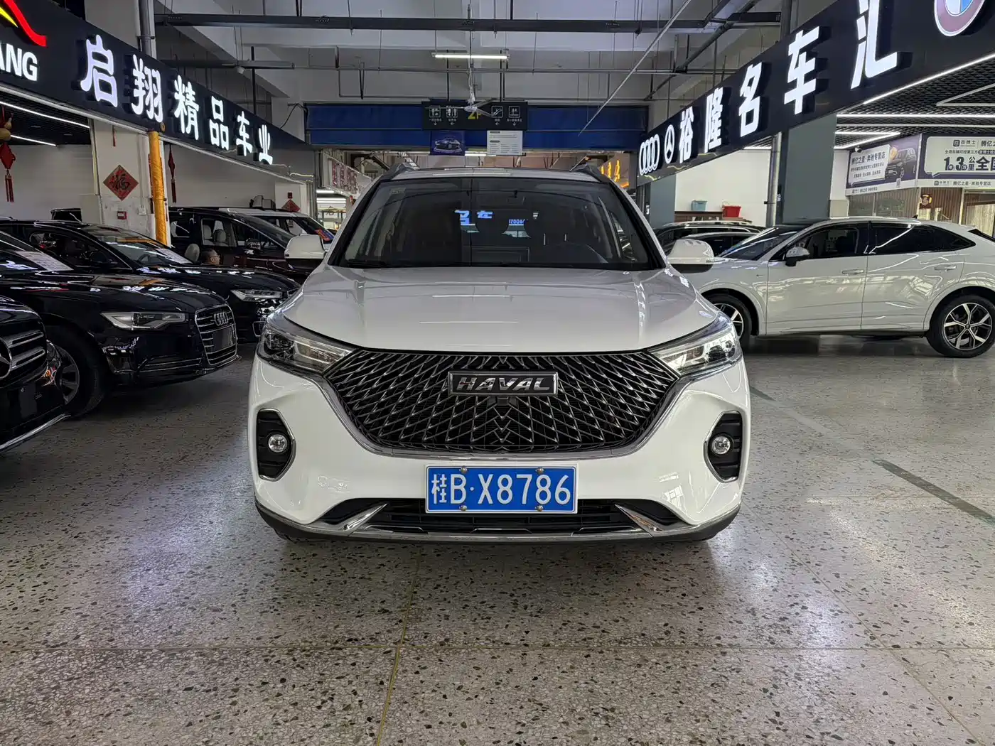 HAVAL M6