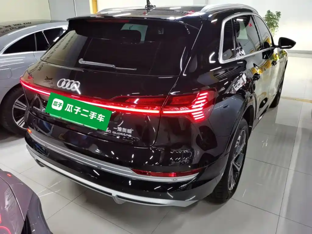 Audi e-tron 2022 2021 50 quattro Exclusive Selection