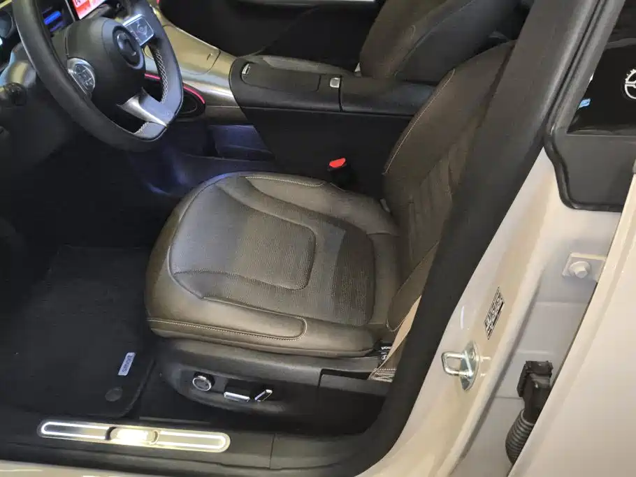 smart Elf #1 2025 2026 Agile New Luxury Edition